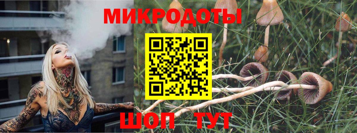 Псилоцибиновые грибы мухоморы Клин