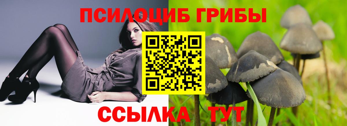 Галлюциногенные грибы Cubensis  Вход с VPN  Клин 